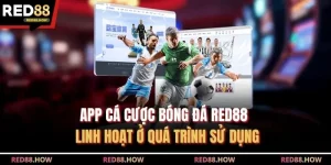 App Cá Cược Bóng Đá Red88 - Linh Hoạt Ở Quá Trình Sử Dụng