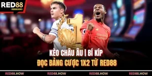 Kèo Châu Âu | Bí Kíp Đọc Bảng Cược 1X2 Từ Red88